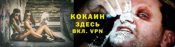 крисы Нея