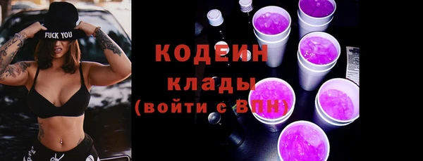 МДПВ Нефтегорск