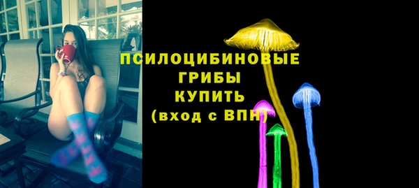 МДПВ Нефтегорск