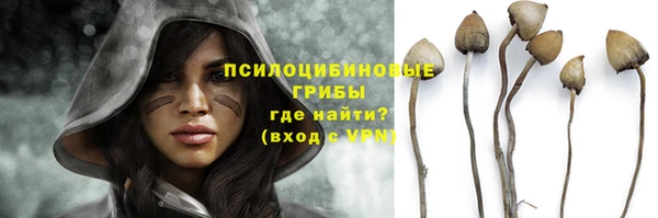 МДПВ Нефтегорск