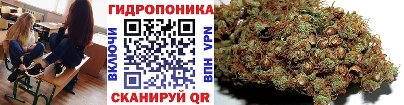 Бошки Шишки Amnesia  KRAKEN зеркало  Кизел 